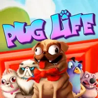 Pug Life game thumbnail